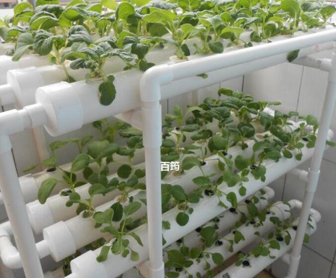 自動式水耕栽培器 多層栽培器育成マシン 自宅もやし家庭菜園　栽培　水耕栽培