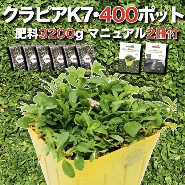 クラピア K7（白） 9cmポット苗 400鉢セット 有機入り一発果菜肥料3200g付き　植栽マニュアル付き