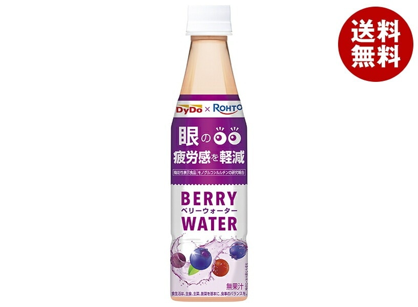 ダイドー×ロート ベリーウォーター 350mlPET×24本入×(2ケース)
