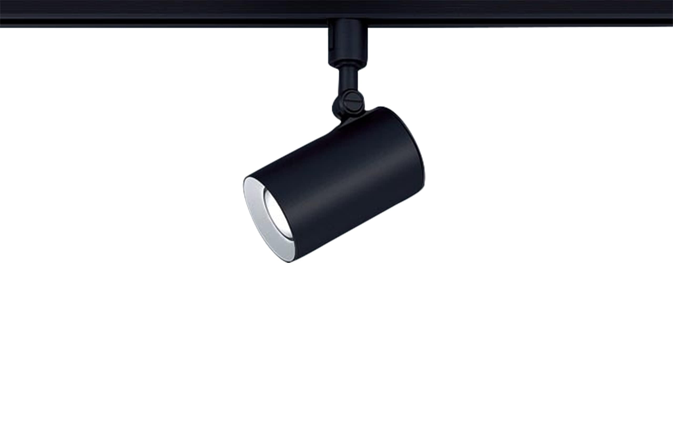 パナソニック(Panasonic) スポットライト 配線ダクト取付型 昼白色・拡散・100形 ブラック LGS3501NLE1