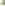 アイボリー(ivory)
