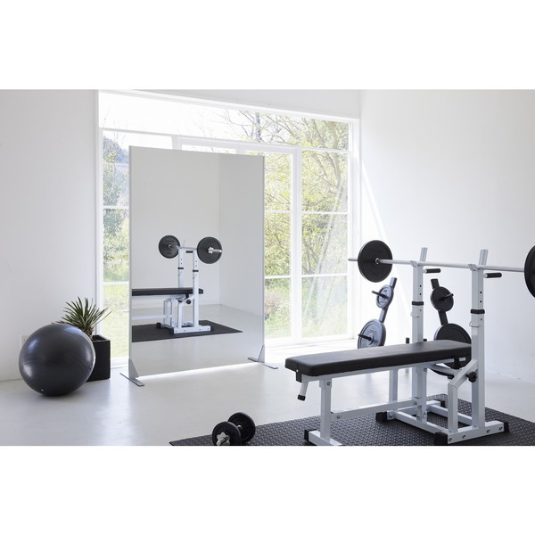 エバニュー EKK012 リフェクスミラー3WAY120 【法人限定】 メーカー直送