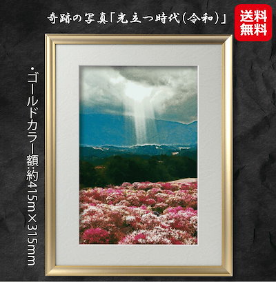 Supreme ラガーシャツ 2023年モデル マルチカラー Supreme ラガーシャツ 2023年モデル マルチカラー Supreme ラガー