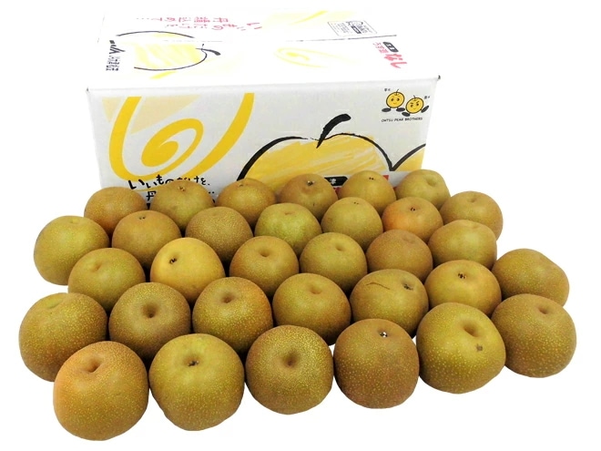 =豊水梨= 訳あり 約10kg 大きさおまかせ 産地厳選 予約 8月下旬以降