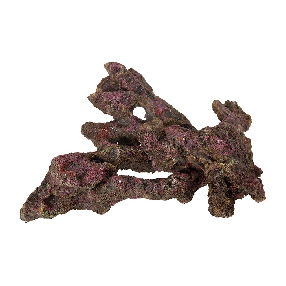 ＯＲＣＡ　ＯＣＥＡＮ　ＲＯＣＫ　１６　１９X１２X３０ｃｍ　ライブロックレプリカ　ＣＲＣ10―35―90―30―00