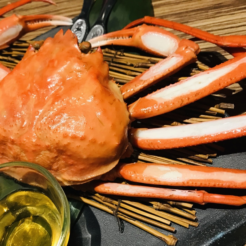 ズワイガニ ボイル ズワイ蟹 ボイルズワイガニ 900g 3尾 ずわいがに 札幌 札幌中央卸売市場 北海道産