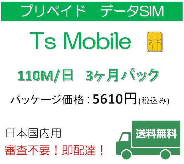 SIM プリペイド 高速データ容量110M/日3ヶ月プラン