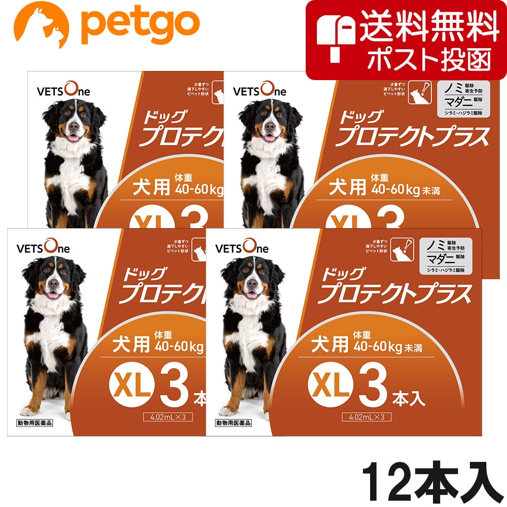 【ネコポス(同梱不可)】【4箱セット】ベッツワン ドッグプロテクトプラス 犬用 XL 3本 (動物用医薬品)