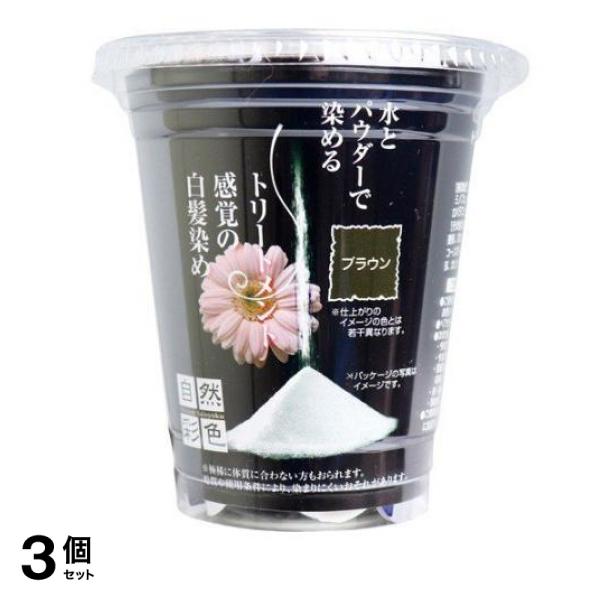 自然彩色 美容業界のプロから生まれた白髪染め ナチュラルブラウン 30g 3個セット