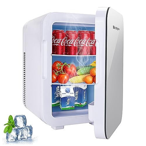 13L 冷蔵庫 小型 保温保冷両用 ミニ冷蔵庫 冷温庫 持ち運び便利 小型冷蔵庫 静音 ポータブル 省エネ 家庭