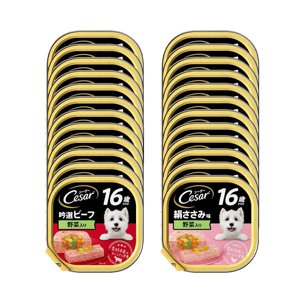ドッグフード　シーザー　１６歳からのビーフ＆絹ささみ　２種各１２個セット　ＣＲＣ45―08―45―20―00