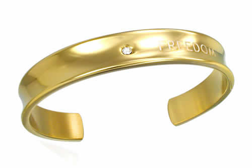ゴールドフリーダム バングル アームレット 腕輪 サージカルステンレス316L メンズ レディース