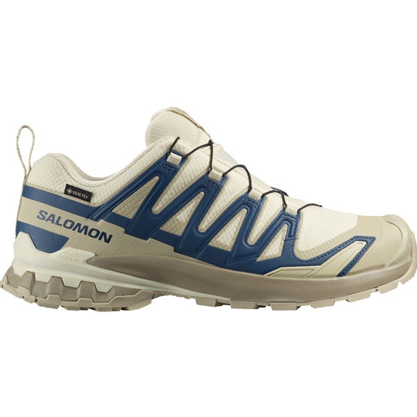 サロモン SALOMON XA PRO 3D V9 GORE-TEX メンズ トレイルランニングシューズ L47987500