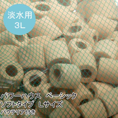 （熱帯魚）パワーハウス　ベーシック　ソフトタイプ　Ｌサイズ　３リットル（バクテリア付き）　北海道航空便要保温　ＣＲＣ10―03―20―90―00