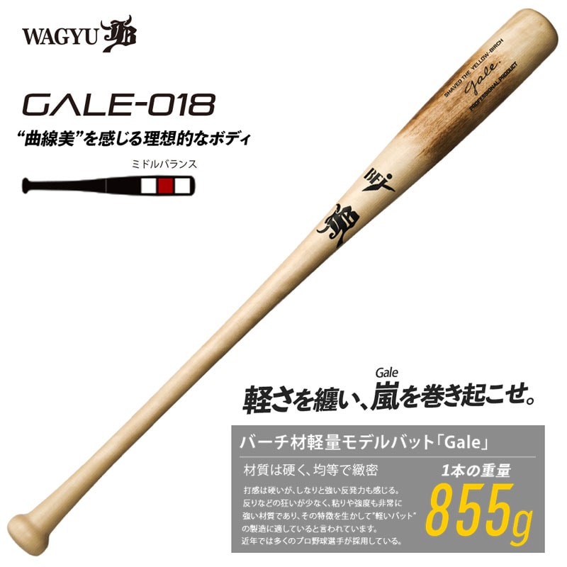 和牛JB バーチ材硬式木製バット (Gale) ゲイル 野球 軽量 (中学硬式 高校 大学社会人) 22FW(GALE018)