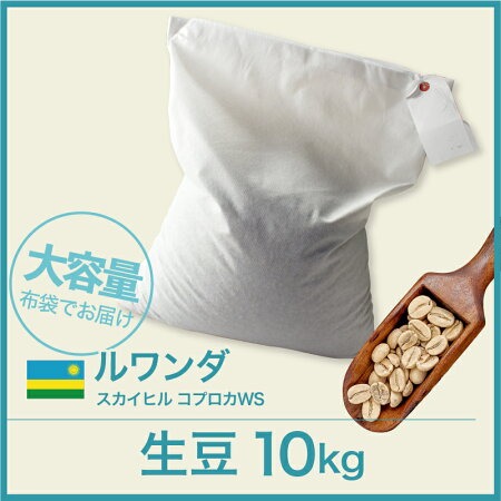 生豆 10kg ルワンダ スカイヒル スペシャルティコーヒー 大山珈琲