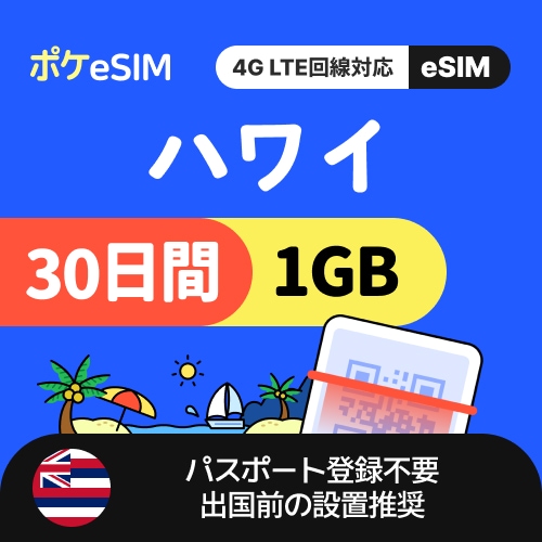 【冬のスペシャルプライス！】ハワイ eSIM 1日1GB 30日間 データ通信専用（電話番号なし） 有効期限90日