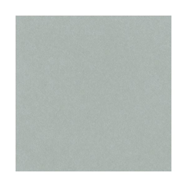 （まとめ）リンテック ニューカラーR 八つ切 はいいろ 8NCR-240 100枚[x5]