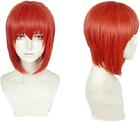 魔法使いの嫁 羽鳥 智世（はとり ちせ） 風 コスプレウィッグ かつら イベント 仮装用 ヘアピース 専用