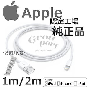 充電器-iphone-純正