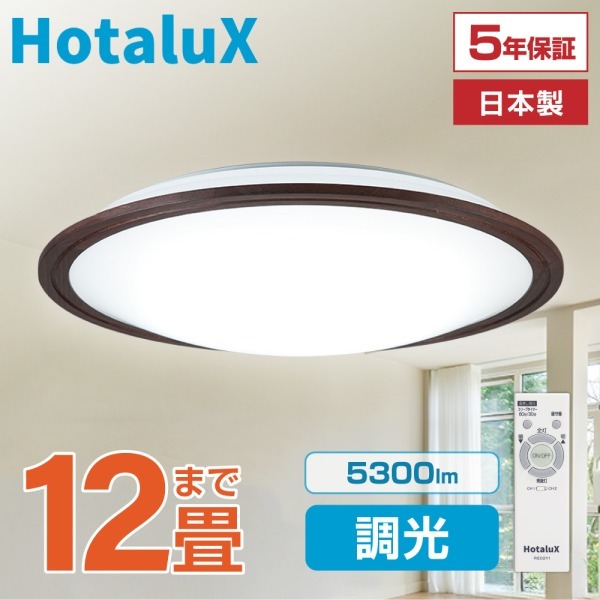 シーリングライト 12畳 洋風 LED 調光 昼光色 リモコン有 照明 天井 HLDZ12316SG