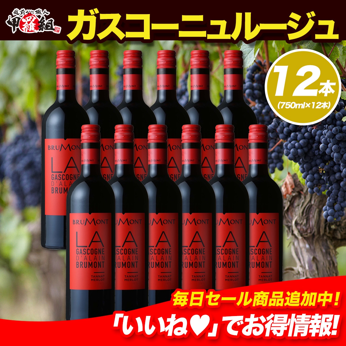ドメーヌ・アラン・ブリュモン ガスコーニュ ルージュ×12本セット