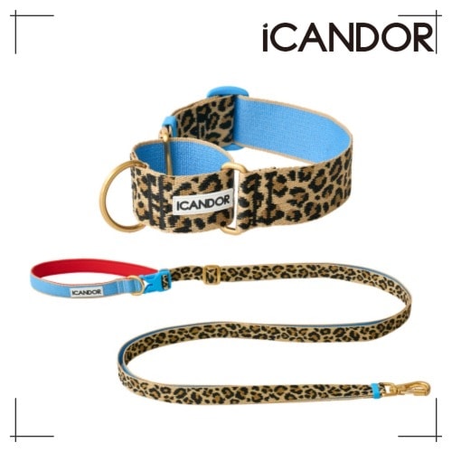 ペット セット Smooth Martin Gale Collar 38mm + Leash_Leopard ペット用品 犬用グッズ