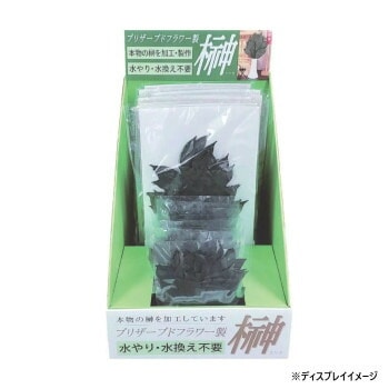 お供え用（仏花）　プリザーブド榊　販売用ケースセット　グリーン　H80040