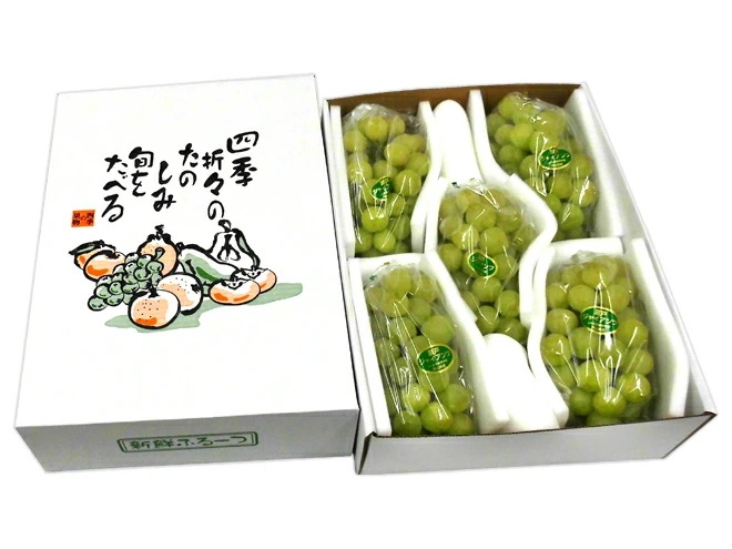 ぶどう 岡山産 =瀬戸ジャイアンツ= 4-7房 約3kg 化粧箱 ぶどう[K1] 予約 8月以降