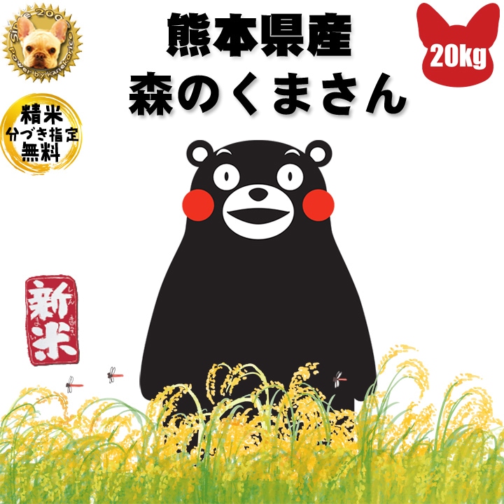 新作送料無料 熊本県八代産 令和4年新米 森のくまさん ヒノヒカリ 10kg