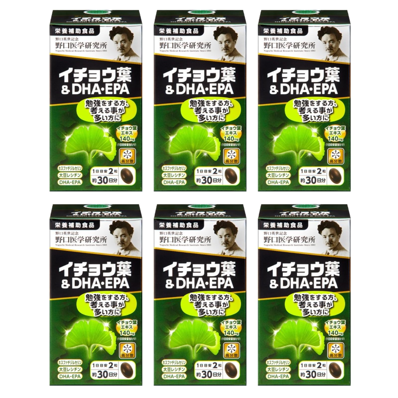 6個セット イチョウ葉 ＆ DHA・EPA （510mg×60粒）約30日分【栄養補助食品】 9,216円