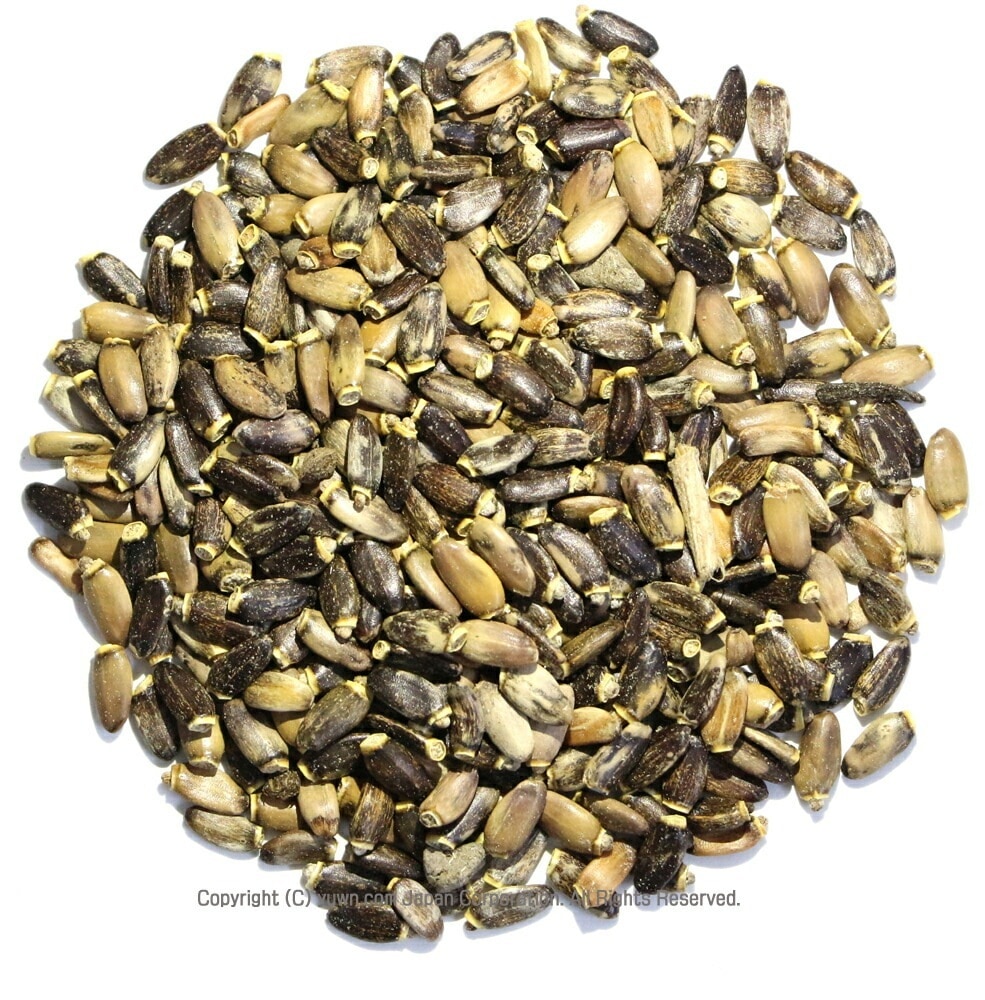 ミルクシスル シード（種子）マリアアザミ 業務用1Kg Milk Thistle Seed オオアザミ ハーブティー