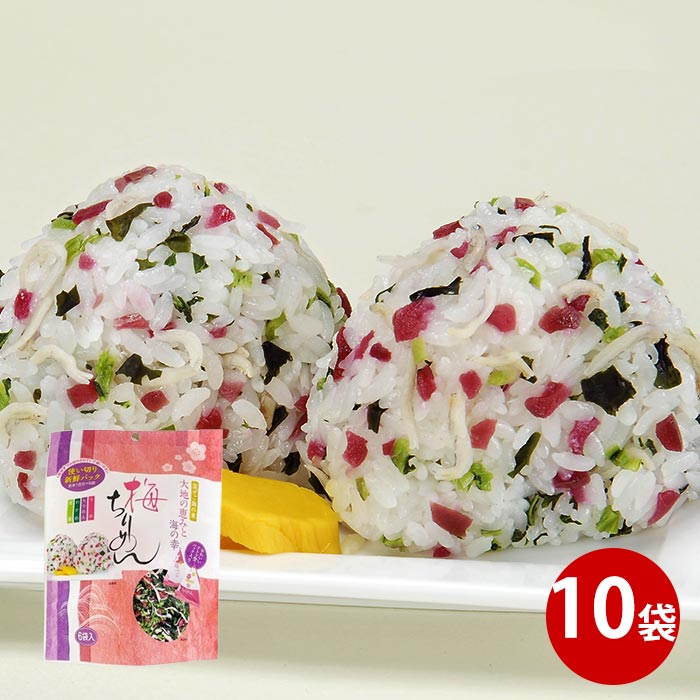 梅ちりめん×10袋 おにぎり お弁当 混ぜごはん おむすび なまため ふりかけ 小袋 ウメ お試し お取り寄せ お試し 食品 ホワイトデー 5,526円