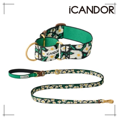 ペット セット Smooth Martin Gale Collar 38mm + Leash_Big Fish ペット用品 犬用グッズ