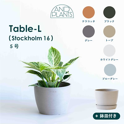 植木鉢 ECOPOTS Amsterdam キャスター付き鉢皿ホワイトグレー L