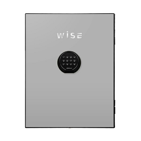 【送料無料】ディプロマット WISEプレミアムセーフフェイスパネル(ライトグレイ) WS500FPLG