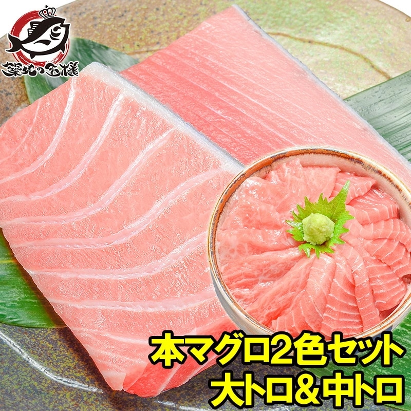 本まぐろ大トロ200g＆中トロ200gセット 築地の王様ブランドまぐろ 通が唸る本マグロの大トロと人気1番中トロを極める 鮪 まぐろ マグロ 本まぐろ 刺身 クロマグロ ギフト 築地市場 豊洲市場