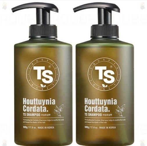 TS ドクダミシャンプー500g x 2個&プレミアムシャンプー100g x 2個