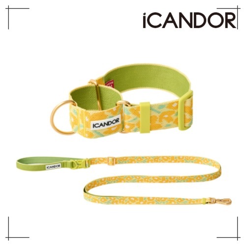 ペット セット Smooth Martin Gale Collar 38mm + Leash_ Big Fish Yellow ペット用品 犬用グッズ