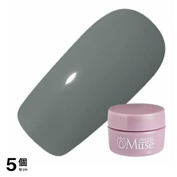 PREGEL(プリジェル) ミューズ S1070 ジュニパーキャンドル 3g 5個セット