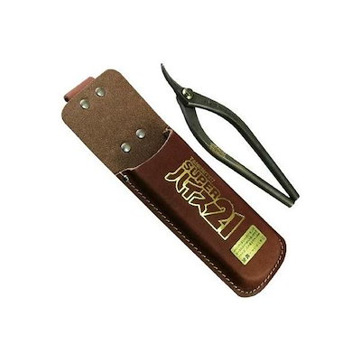 真作】掛軸 西垣大道 千年翠 松の枝を描いた墨彩掛軸 共箱入 Q164