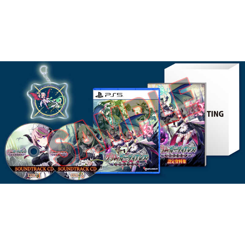 インティ・クリエイツ　PS5ゲームソフト グリム・ガーディアンズ サーヴァント・オブ・ザ・ダーク 限定版　INTI-0029