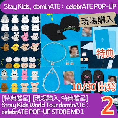 stray kids karma ポップアップ　購入特典　コンプリート　2週目 stray kids KARMA ポップアップ 2週目 特典トレカ コンプ ②