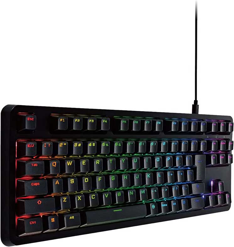 ゲーミングキーボード 【V custom】 有線 着脱式ケーブル RGB メカニカル ( 銀軸 / スピードリニア ) 日本語配列 テンキーレス ブラック