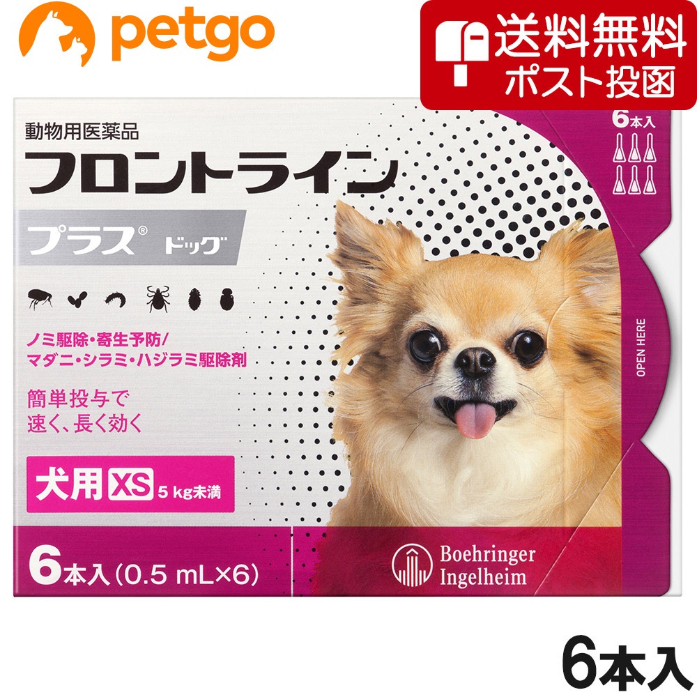 【ネコポス(同梱不可)】犬用フロントラインプラスドッグXS 5kg未満 6本（動物用医薬品）