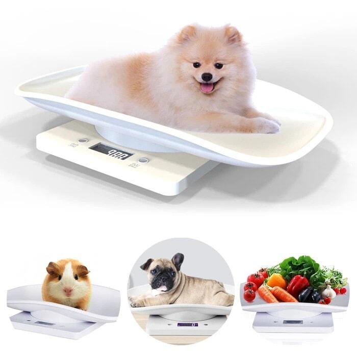 ペット体重計 スケール 10KGまで 小型 精密 ポータブル 子犬 子猫 うさぎ用 電池式 その他 zerobaseone メガ割 福袋 アウター ゲームソフト マスク下着