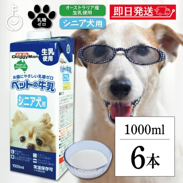 ドギーマンハヤシ ペットの牛乳 シニア犬用1000ml 6個 doggyman ドギーマン わんちゃん