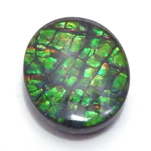 アンモライト トリプレットルース 約10x12mm 3.60ct 裸石 ルース アンモナイト //1
