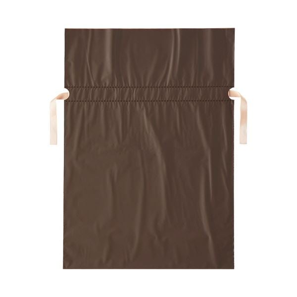 （まとめ）店研創意 ストアエキスプレス 梨地リボン付ギフトバッグ ブラウン 31cm 1パック（20枚） 3セット