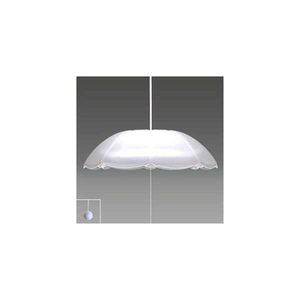 RV80057